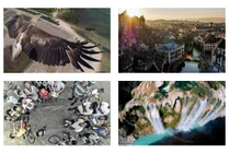 Hình ảnh tuyệt đẹp, lạ mắt từ camera bay trên National Geographic