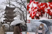 Bão tuyết kinh hoàng ở Nhật, hàng nghìn người bị thương