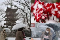 Bão tuyết kinh hoàng ở Nhật, hàng nghìn người bị thương