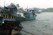 TP.HCM, Cần Giờ sẽ di dời dân khi ATNĐ mạnh lên thành bão 