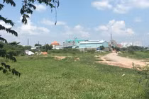 Nghi vấn 'Phó chủ tịch phường' lén lút chôn xác heo 