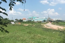 Nghi vấn 'Phó chủ tịch phường' lén lút chôn xác heo 