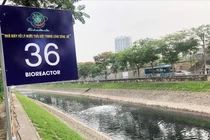 Vì sao chuyên gia Nhật xin thêm 2 tháng làm sạch sông Tô Lịch?