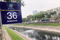 Vì sao chuyên gia Nhật xin thêm 2 tháng làm sạch sông Tô Lịch?