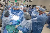 Đứa trẻ đầu tiên tại Mỹ được sinh ra bởi "phép màu" từ tử cung hiến tặng 