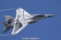 Hình vẽ mãnh hổ, mắt báo ấn tượng trên chiến đấu cơ