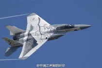 Hình vẽ mãnh hổ, mắt báo ấn tượng trên chiến đấu cơ