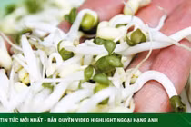 4 lưu ý cần tránh khi ăn giá đỗ