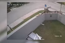  Pakistan: Báo hoa mai sổng chuồng, người chủ có thể bị truy tố