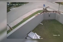  Pakistan: Báo hoa mai sổng chuồng, người chủ có thể bị truy tố