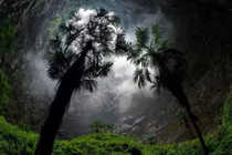 Bí ẩn khu rừng cổ đại dưới hố sâu 200m ở Trung Quốc