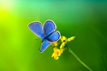 3 con giáp thời trẻ chăm chỉ, tuổi trung niên cơm áo không lo