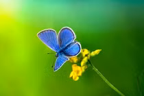 3 con giáp thời trẻ chăm chỉ, tuổi trung niên cơm áo không lo