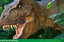 Sự thật đáng thất vọng về khủng long bạo chúa 