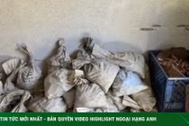 Dọn nhà của bố, đôi vợ chồng phát hiện kho báu dưới tầng hầm