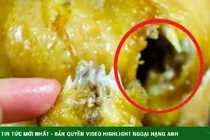 3 bộ phận vừa bẩn vừa độc của con gà, ăn vào rước bệnh 
