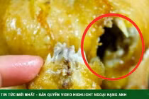 3 bộ phận vừa bẩn vừa độc của con gà, ăn vào rước bệnh 