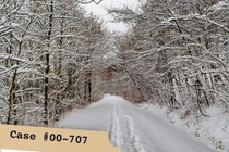 Những vụ việc ly kỳ nhân loại vẫn chưa tìm ra lời giải