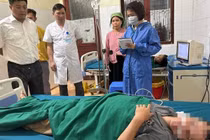 Hà Giang: Ăn canh thịt gà nấu với nấm dại, hai bố con nhập viện