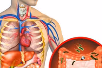 Các dấu hiệu nội tạng đang chứa lượng "rác" quá lớn, cần thanh lọc ngay