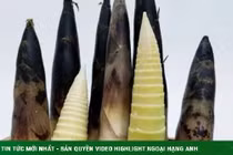 Bí quyết xào măng ngon, không đắng