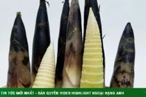 Bí quyết xào măng ngon, không đắng