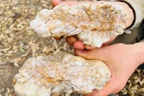  Thợ đào vàng nghiệp dư tìm được cục vàng khổng lồ giá 3,76 tỉ