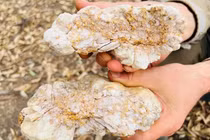  Thợ đào vàng nghiệp dư tìm được cục vàng khổng lồ giá 3,76 tỉ