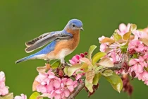 Nhà có 3 con giáp này mỗi ngày một niềm vui, rắc rối lùi xa