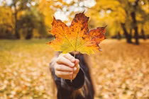 Phát hiện chồng ngoại tình lại còn bị mắng là không bằng nhân tình