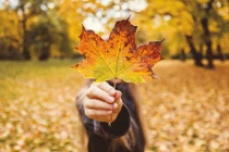 Phát hiện chồng ngoại tình lại còn bị mắng là không bằng nhân tình