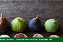 Tuyệt chiêu chế biến món ngon, lạ miệng từ quả sung