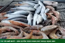 Mẹo an toàn khi ăn hải sản, tránh dị ứng 