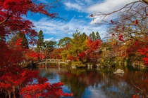 Người sinh tháng Âm lịch này, phúc khí sâu dày, năm nay kiếm lớn