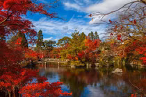 Người sinh tháng Âm lịch này, phúc khí sâu dày, năm nay kiếm lớn