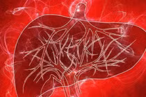 Bạn đã biết cách chăm sóc sức khỏe của gan?