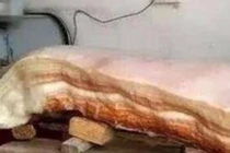 Lên núi kiếm củi, cụ già tìm được khối đá thịt lợn quý hiếm