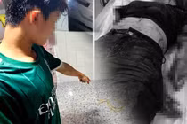 Hành hạ vợ dã man và loạt vụ bạo hành vì ghen gây chấn động