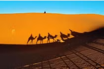  Có gì bí ẩn dưới lớp cát của sa mạc Sahara? 