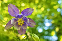 Người sinh giờ này biết quản lý chi tiêu, không lo nghèo