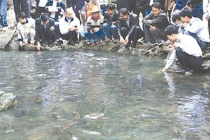 Bí ẩn suối cá thần thứ 3 "thiêng" nhất xứ Thanh