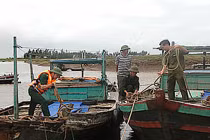 Các địa phương cấp bách phòng chống bão số 6