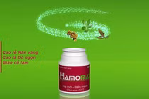 Có Hamomax không lo mỡ máu, mỡ gan, bệnh tim mạch
