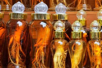 Đắt ngang đá quý, vì sao sâm Mỹ vẫn được lùng mua?