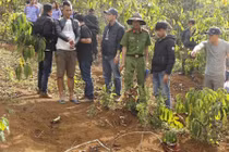 Vụ giết người chôn xác hai lần rúng động Lâm Đồng