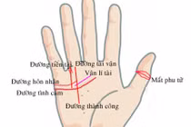 Xem bàn tay của người phụ nữ có "hôn nhân viên mãn"