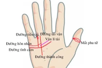 Xem bàn tay của người phụ nữ có "hôn nhân viên mãn"