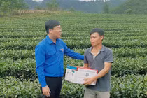 Những triệu phú vùng biên