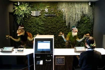 Cá robot bơi lội trong “khách sạn người máy” ở Nhật Bản