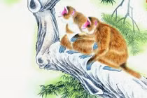 3 con giáp cẩn thận hao tài tốn của 6 tháng cuối năm